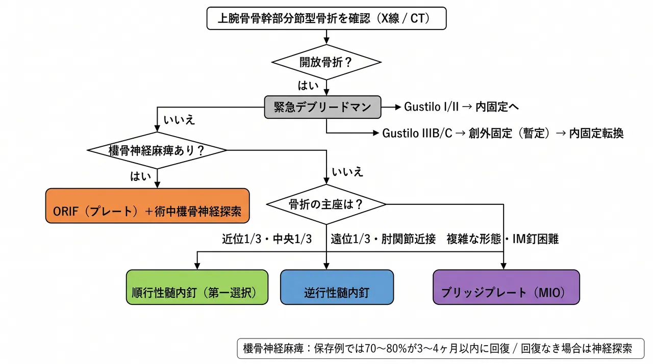 治療選択アルゴリズム — 分節型 12-C2 の骨折部位・神経損傷・軟部組織に基づく術式選択フロー