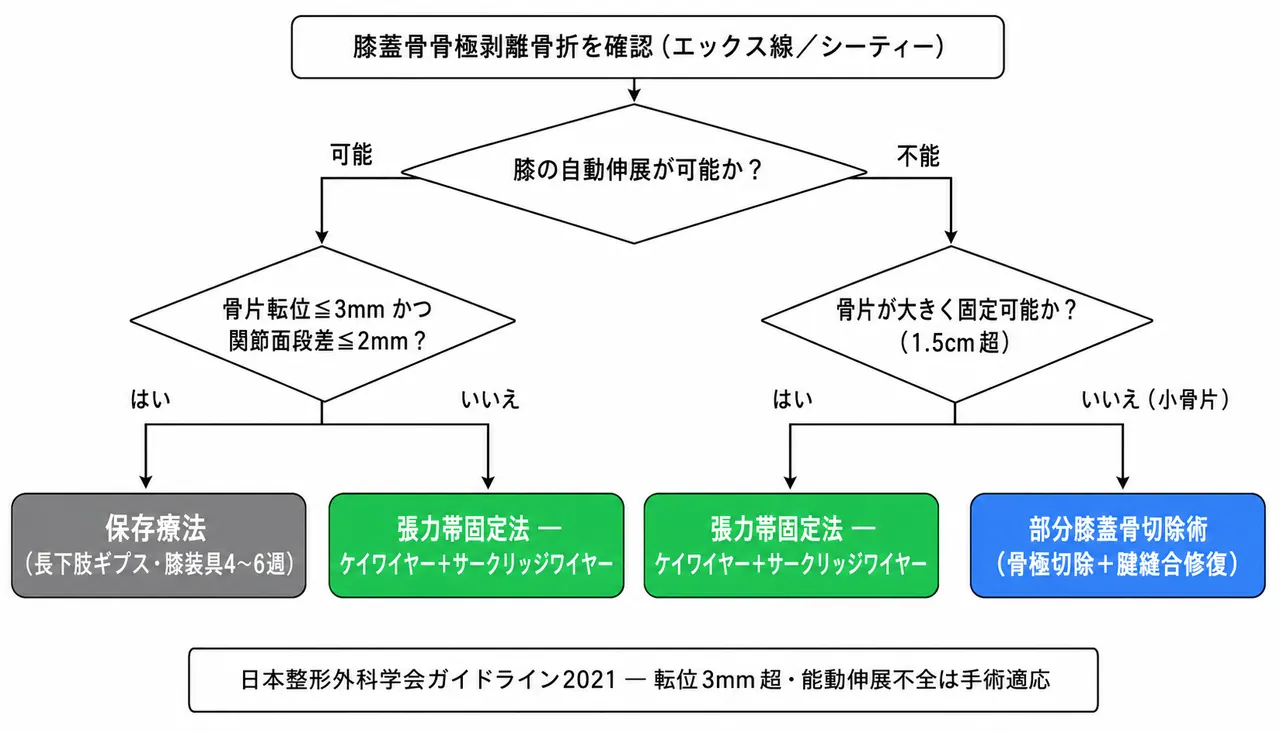 治療選択アルゴリズム — 骨極剥離型・伸展機構評価・TBW/保存療法選択