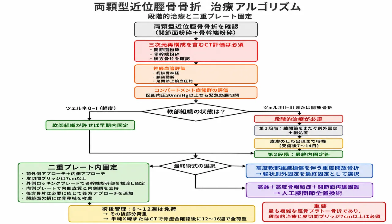 治療選択アルゴリズム — 41-C3両顆型・複雑型脛骨近位部骨折・段階的手術戦略（外固定→Dual-plate ORIF）