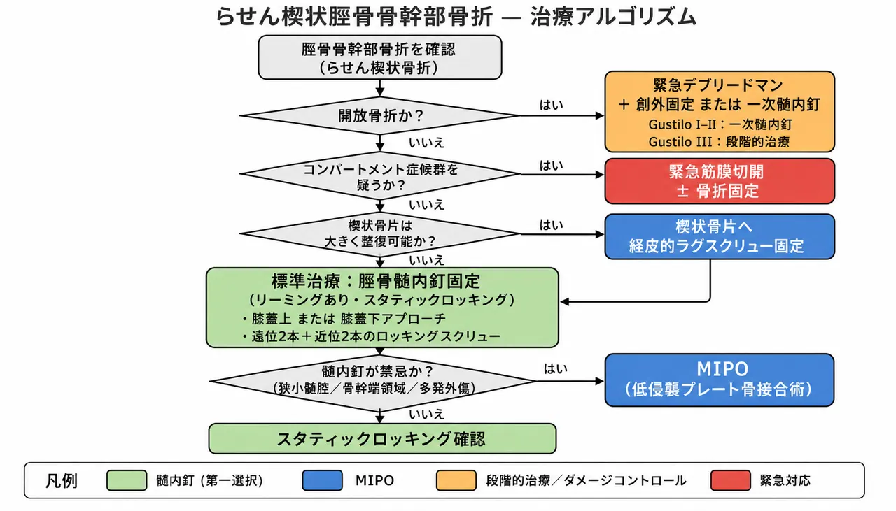 治療選択アルゴリズム — 安定性評価・開放骨折分類→髄内釘（第一選択）→MIPO→創外固定