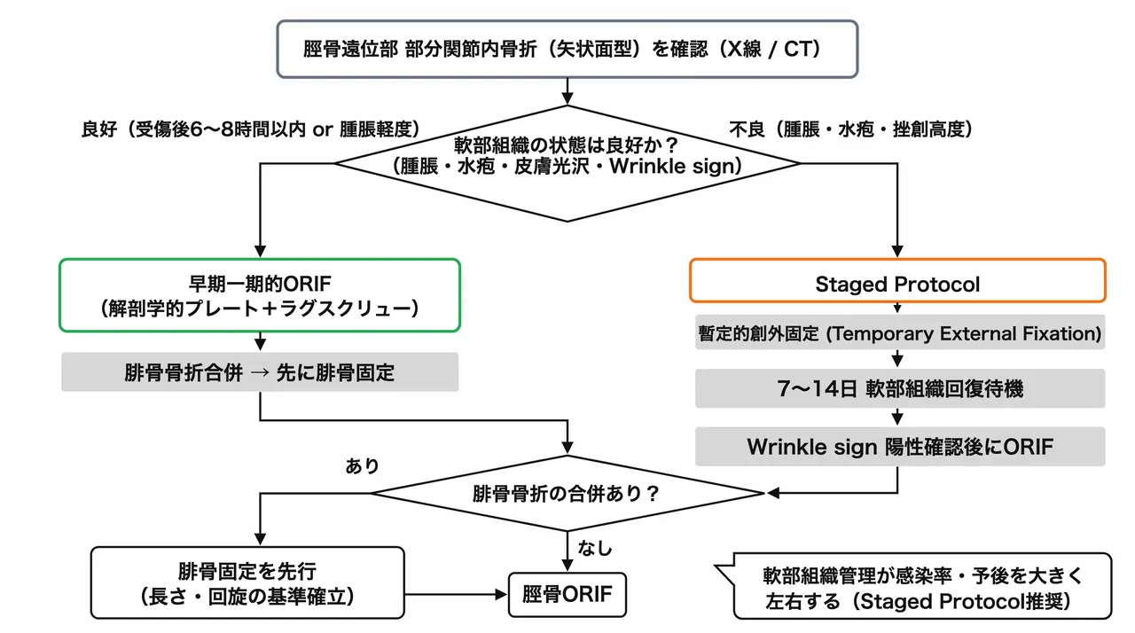 治療選択アルゴリズム — 軟部組織評価→早期ORIF vs Staged Protocol（創外固定→ORIF）の選択基準