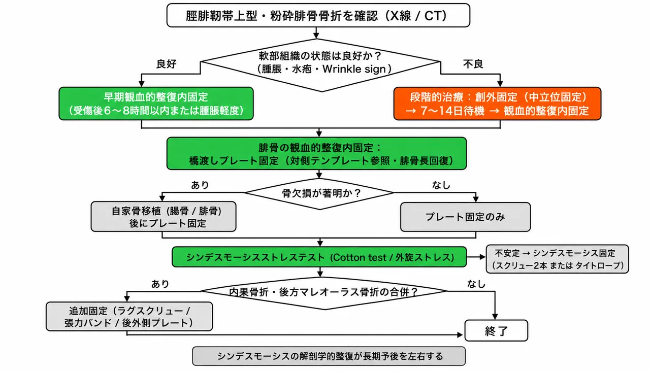 治療選択アルゴリズム — 腓骨骨折整復→シンデスモーシステスト→内果・後方マレオーラス評価の順序と固定法選択