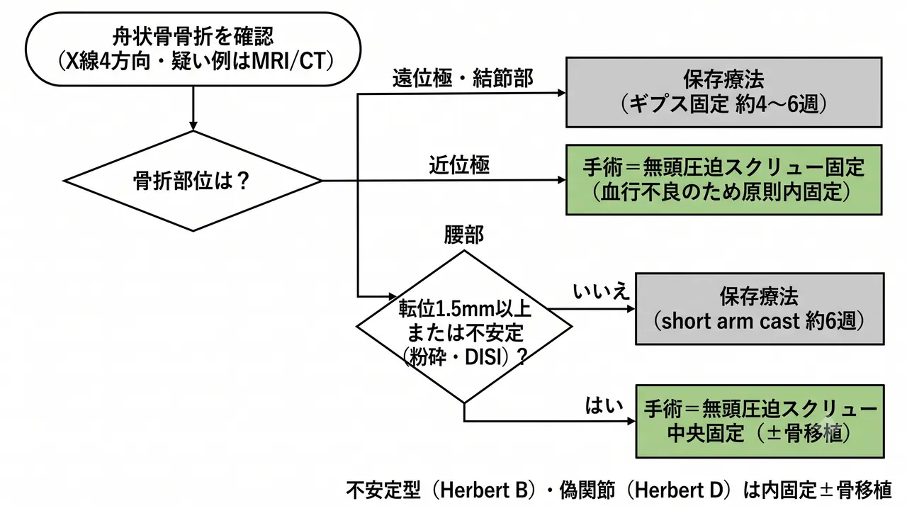 治療選択アルゴリズム — 骨折部位（腰部/近位極/遠位）と転位・安定性に基づく方針決定フロー